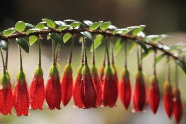 佛山高明区3私人快速借钱网，轻松解决资金难题