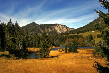 佛山高明区3民间私贷攻略：揭秘低成本借贷的秘密