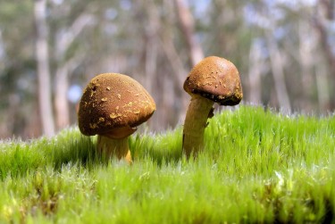 佛山高明区3私人老板放款：轻松融资的秘密通道